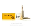 Sellier and Bellot 243 Win Ammo - 20 Rounds of 100 Grain SP Ammunition