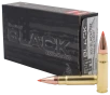 Hornady BLACK .300 AAC Blackout 110 Grain Centerfire Rifle Ammo
