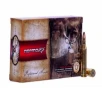 Norma Ammunition (RUAG) 20160332 American PH  243 Win 100 gr Oryx 20 Bx/ 10 Cs