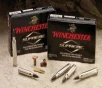 Winchester Ammo SBST300 Ballistic Silvertip  300 Win Mag 180 gr Polymer Tip 20 Bx/ 10 Cs