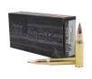 Hornady BLACK .308 Win 155 Grain Centerfire Rifle Ammo