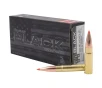 Hornady BLACK .300 AAC Blackout 208 Grain Centerfire Rifle Ammo
