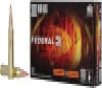 Federal Fusion .300 WIN MAG, 180gr, Tipped - 20 rounds