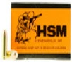 HSM Bear Load Standard Velocity Centerfire Ammunition, 10mm Auto, Full Metal Jacket, 200 Grain - 50 Cartridge Box ( 50 / 1 )