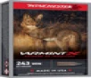 VARMINT X 243 WINCHESTER 65GR POLYMER EXTREME POINT 20/BOX UPC: 020892233317