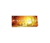 Federal Fusion, 357MAG, 158 Grain, Hollow Point F357FS1 20rds 