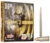 Federal Premium Brass .30-06 Springfield 180-Grain 20-Rounds Barnes Triple-Shock X for Big Game 