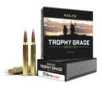 Nosler Trophy Grade Brass .223 Rem 70-Grain 20-Rounds TG AccuBond 
