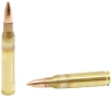 ARMSCOR Precision M193 5.56x45mm NATO 55gr