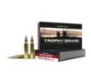 Nosler Trophy Grade Long Range Rifle Ammunition .300 Win Mag 190 gr ACB LR 20/Box
