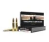 Nosler Trophy Grade Rifle Ammunition .30-06 Sprg 180 gr AB 2750 fps - 20/box