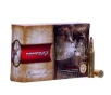 Norma Ammunition American PH 100 gr Oryx .243 Win Ammo, 20/box - 20160332