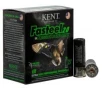 Kent Cartridge Fasteel 2.0 Precision Plated Steel 2.75&quot; 12 Gauge Ammo 3, 25 Rounds - K122FS303