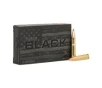 Hornady Black .300 AAC Blackout 110 gr NTX 20rds Rifle Ammo for Tactical Use - 80862