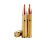Wilson Combat .300 AAC Blackout 110 gr PTFB 20rds