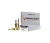 Nosler Varmageddon .243 Winchester 70 gr PT 20rds