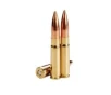 Wilson Combat .300 AAC Blackout 220 gr BTHP 20rds